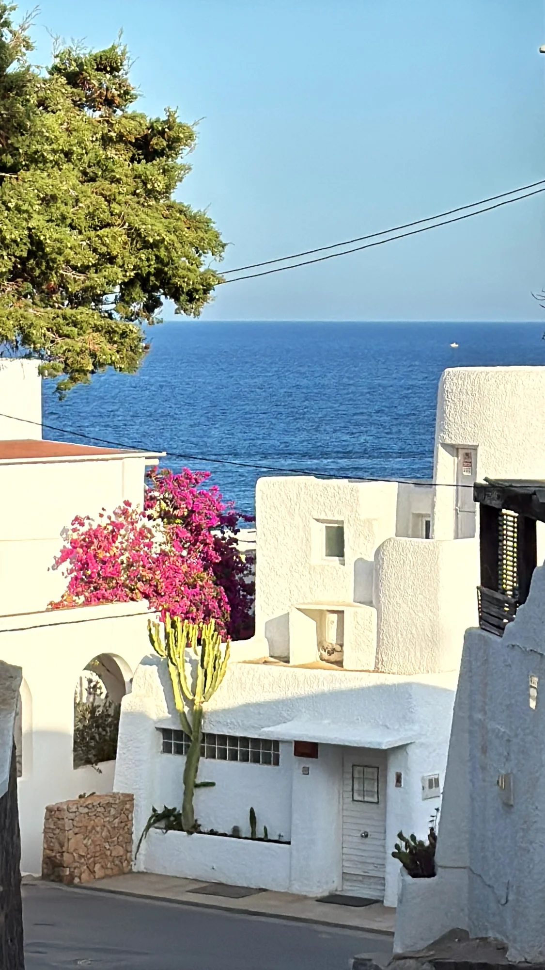 La vida junto al Mediterráneo